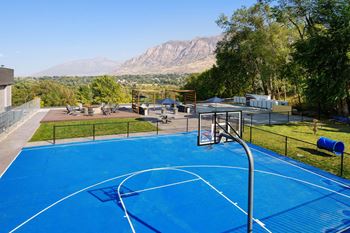 Full outdoor basketball court